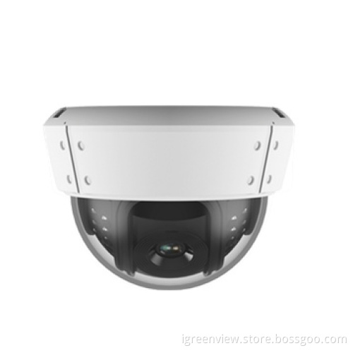 New Plastic 700tvl Dome Cctv Camera (igv-pd129)